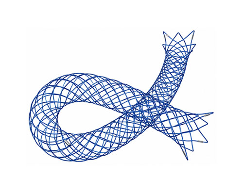 Accero Stent2